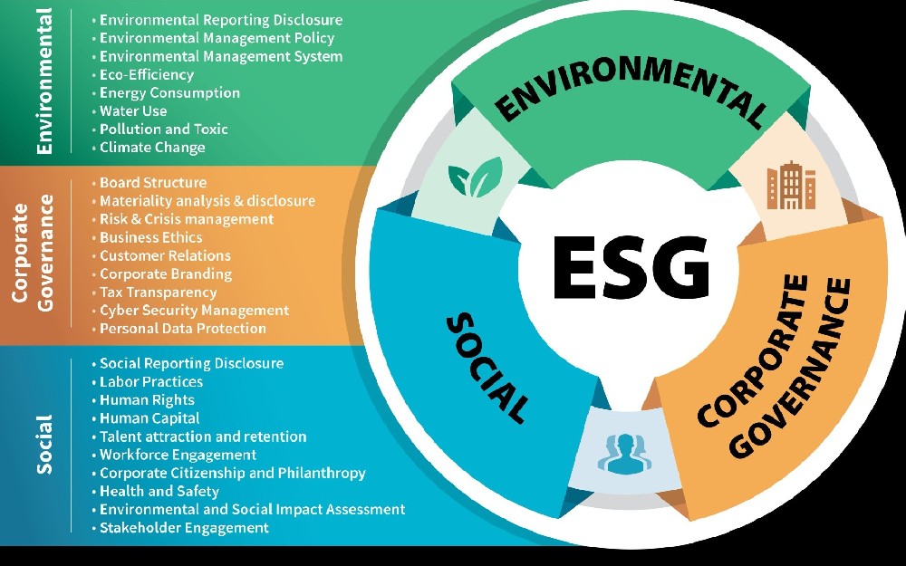 ESG赋能：城市与企业怎样把握新机遇